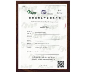 航空運(yùn)輸條件鑒定報(bào)告