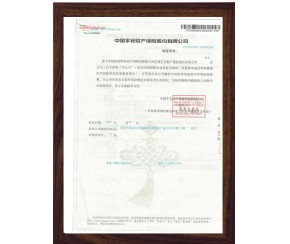 中國平安保險(xiǎn)