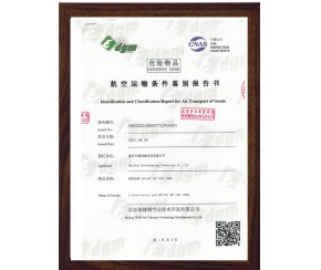 航空運(yùn)輸條件鑒定報(bào)告